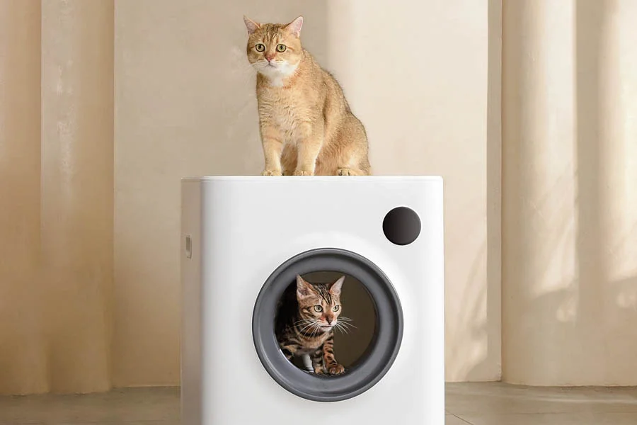 the best cat litter boxes