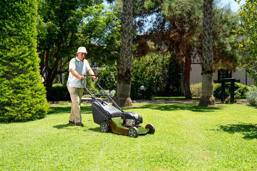 self propelled lawn mower electric